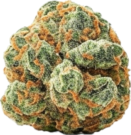 Image for Sweet Tangie